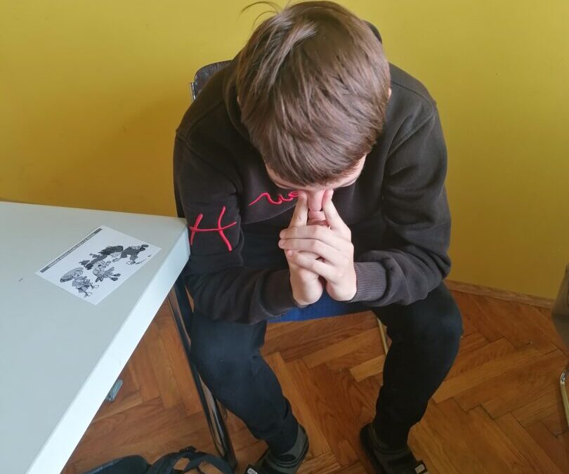 Prva pomoć u predloženim problemskim situacijama – “Prva pomoć, upomoć!”